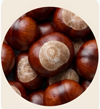 Buckeye